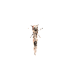 8998 - Home